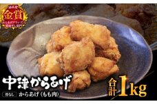 【冷凍便】からあげグランプリ金賞 鳥しん 九州産 若鶏 骨なしからあげ もも肉 500g(約12個入)×2袋 | 家庭調理 中津からあげ 唐揚げ からあげ から揚げ 冷凍 冷凍食品 お弁当 弁当 おかず お惣菜 おつまみ お肉 肉 鶏 鶏肉 大分県 中津市