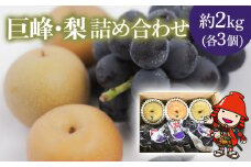 【先行予約】糖度計使用 巨峰・梨 詰め合わせ 約2kg (巨峰3個、梨3個) | ブドウ ぶどう 葡萄 果物 フルーツ くだもの ギフト プレゼント 贈答品 大分県産 九州産 中津市