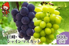 【先行予約】シャインマスカット・巨峰ブドウ 詰め合わせ セット 約900g (2房) 種あり | ブドウ ぶどう 葡萄果物 フルーツ くだもの 産地直送 甘い 大分県産 九州産 中津市 国産 送料無料