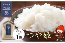 【寄附使途限定】九州米・食味コンクール最優秀賞受賞 大分県中津市産 やまくに誉 つや姫 5kg×1袋 | お米 米 おこめ こめ 精米 白米 5キロ ご飯 九州産 国産 国産米 大分県米 九州米 大分県 中津市