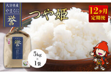 【寄附使途限定】【12ヶ月定期便】九州米・食味コンクール最優秀賞受賞 大分県中津産やまくに誉 つや姫 5kg×1袋 (毎月1回)  | お米 米 おこめ こめ 精米 白米 5キロ ご飯 九州産 国産 国産米 大分県米 九州米 定期 定期便 12回定期便 大分県 中津市