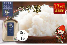 【寄附使途限定】【12ヶ月定期便】九州米・食味コンクール最優秀賞受賞 大分県中津産やまくに誉 つや姫 5kg×1袋 (毎月1回)  | お米 米 おこめ こめ 精米 白米 5キロ ご飯 九州産 国産 国産米 大分県米 九州米 定期 定期便 12回定期便 大分県 中津市