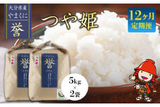 【寄附使途限定】【12ヶ月定期便】九州米・食味コンクール最優秀賞受賞 大分県中津産やまくに誉 つや姫 5kg×2袋 (毎月1回) | お米 米 おこめ こめ 精米 白米 10kg 10キロ ご飯 九州産 国産 国産米 大分県米 九州米 定期 定期便 12回定期便 大分県 中津市