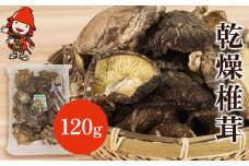 乾燥椎茸 120g | きのこ キノコ しいたけ シイタケ 椎茸 原木栽培 乾しいたけ 干し椎茸 干ししいたけ 乾燥しいたけ 干しシイタケ 大分県産 九州産 国産 大分県 中津市