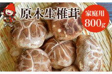 原木生椎茸 家庭用 800g | きのこ キノコ しいたけ シイタケ 椎茸 生しいたけ 生シイタケ 生椎茸 原木 原木栽培  大分県産 九州産 国産 大分県 中津市