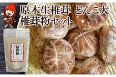 原木生椎茸 どんこ大 400g 以上と 椎茸粉 30g セット | きのこ キノコ しいたけ シイタケ 椎茸 生しいたけ 乾しいたけ 干し椎茸 干ししいたけ 乾燥しいたけ 乾燥椎茸 粉 粉末 詰め合わせ 大分県産 九州産 国産 大分県 中津市