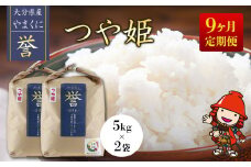【寄附使途限定】【9ヶ月定期便】九州米・食味コンクール最優秀賞受賞 大分県中津産やまくに誉 つや姫 5kg×2袋 (毎月1回) | お米 米 おこめ こめ 精米 白米 10kg 10キロ ご飯 九州産 国産 国産米 大分県米 九州米 定期 定期便 9回定期便 大分県 中津市