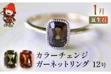 誕生石 1月 カラーチェンジガーネット 指輪 | リング 12号 レディース K18 PT900 プラチナ アクセサリー 婚約指輪 プロポーズ 結婚指輪 誕生日 婚約 結婚 母の日 プレゼント 祝 記念日 女性 贈り物 大分県 中津市