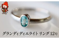 グランディディエライト 指輪 | リング 12号 レディース PT900 プラチナ アクセサリー 婚約指輪 プロポーズ 結婚指輪 誕生日 婚約 結婚 母の日 プレゼント 祝 記念日 女性 贈り物 大分県 中津市