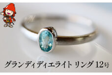 グランディディエライト 指輪 | リング 12号 レディース PT900 プラチナ アクセサリー 婚約指輪 プロポーズ 結婚指輪 誕生日 婚約 結婚 母の日 プレゼント 祝 記念日 女性 贈り物 大分県 中津市