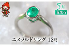 誕生石 5月 エメラルド 指輪 | リング 12号 レディース PT900 プラチナ アクセサリー 婚約指輪 プロポーズ 結婚指輪 誕生日 婚約 結婚 母の日 プレゼント 祝 記念日 女性 贈り物 大分県 中津市