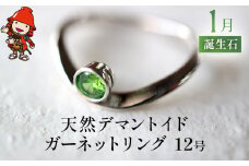 誕生石 1月 天然デマントイドガーネット 指輪 | リング 12号 レディース PT900 プラチナ アクセサリー 婚約指輪 プロポーズ 結婚指輪 誕生日 婚約 結婚 母の日 プレゼント 祝 記念日 女性 贈り物 大分県 中津市