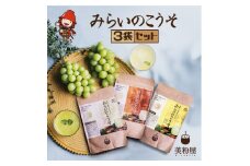 みらいのこうそ 3種セット | 美粉屋 みらいのこうそ 未来の酵素 酵素 ドリンク 酵素粉末 酵素サプリ 酵素ドリンク 酵素ドリンクサプリ 酵素ドリンクファスティング ビタミンC ビタミンC ドリンク 補酵素 タマチャンショップ 大分県 中津市