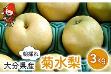 梨 菊水梨 約3kg いわき農園 | 梨 なし 糖度計使用 数量限定 新鮮 産地直送 果物 くだもの フルーツ ギフト 大分県産 九州産 中津市