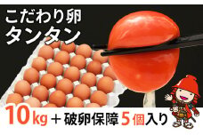 こだわり卵タンタン (10kg＋破卵保障5個入り) | たまご タマゴ 玉子 生卵 鶏卵 赤鶏 新鮮 濃厚 採れたて 生みたて 大分県産 九州産 中津市