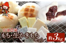 【期間・数量限定】広池農園もち・生かきもちセット 約3㎏ ( 冷凍小もち500g×2 冷凍あんもち6ヶ入×2 生かきもち×3パック ) | もち 生かきもち セット 3㎏ 3キロ 小もち あんもち かきもち 白餅 よもぎ餅 餅 生もち 大分県産 もち米 九州産 国産 冷凍 大分県 中津市