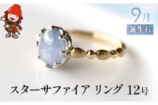 誕生石 9月 スターサファイア 指輪 | リング 12号 K18 PT900 プラチナ アクセサリー 婚約指輪 プロポーズ 結婚指輪 誕生日 婚約 結婚 母の日 プレゼント 祝 記念日 女性 贈り物 大分県 中津市