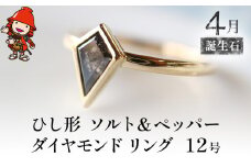 誕生石 4月 ひし形 ソルト＆ペッパーダイヤモンド 指輪 | リング 12号  K18 イエローゴールド アクセサリー 婚約指輪 プロポーズ 結婚指輪 誕生日 婚約 結婚 母の日 プレゼント 祝 記念日 女性 贈り物 大分県 中津市