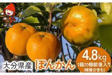 【先行予約】大分産ぽんかん 約5kg　(補償分含む） | いわき農園 柑橘類 柑橘 ポンカン デコポン 椪柑 ミカン みかん 温州みかん 数量限定 新鮮 産地直送 果物 くだもの フルーツ ギフト 大分県産 九州産 国産 大分県 中津市 