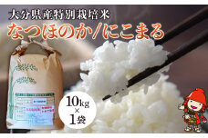 令和7年産 特別栽培米 なつほのか にこまる 10kg×1袋 | 大分県中津市三光産 栽培期間中 農薬不使用 精米 玄米 選べる 国産 お米 米 ご飯 白米 農家直送 宗像農園 大分県産 九州産 大分県 中津市