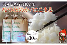 令和7年産 特別栽培米 なつほのか にこまる 5kg×2袋 計10kg | 大分県中津市三光産 栽培期間中 農薬不使用 精米 玄米 選べる 国産 お米 米 ご飯 白米 農家直送 宗像農園 大分県産 九州産 大分県 中津市