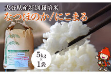 令和7年産 特別栽培米 なつほのか にこまる 5kg×1袋 | 大分県中津市三光産 栽培期間中 農薬不使用 精米 玄米 選べる 国産 お米 米 ご飯 白米 農家直送 宗像農園 大分県産 九州産 大分県 中津市