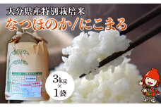 令和7年産 特別栽培米 なつほのか にこまる 3kg×1袋 | 大分県中津市三光産 栽培期間中 農薬不使用 精米 玄米 選べる 国産 お米 米 ご飯 白米 農家直送 宗像農園 大分県産 九州産 大分県 中津市