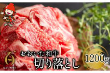 おおいた和牛 切り落とし 1200g | お肉 肉 おにく にく 牛 牛肉 和牛 国産牛 豊後牛 ブランド牛 切り落とし肉 焼肉 焼き肉 すき焼き 牛丼 炒め物 冷凍 国産 大分県産 九州産 大分県 中津市