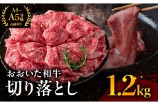 おおいた和牛 切り落とし 1.2kg | お肉 肉 おにく にく 牛 牛肉 和牛 国産牛 豊後牛 ブランド牛 切り落とし肉 焼肉 焼き肉 すき焼き 牛丼 炒め物 冷凍 国産 大分県産 九州産 大分県 中津市
