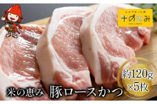 「米の恵み」 豚ロースかつ 約120g×5枚 | お肉 肉 おにく にく 豚 豚肉 ロース ブランド豚 ロースかつ とんかつ トンカツ 惣菜 おかず 冷凍 国産 大分県産 九州産 大分県 中津市