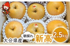大分県産 新高 約2.5kg (6個～7個) | いわき農園 梨 なし 新鮮 産地直送 数量限定 果物 くだもの フルーツ ギフト 大分県産 九州産 大分県 中津市