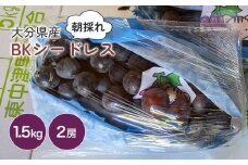 BKシードレス 約 1.5kg ( 2房 ) | いわき農園 葡萄 ぶどう ブドウ 新鮮 産地直送 果物 くだもの フルーツ 朝採れ 大分県産 九州産 大分県 中津市