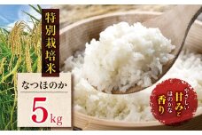 特別栽培米 なつほのか 5kg | お米 米 精米 白米 おこめ こめ ご飯 ごはん 国産米 5キロ 大分県産 九州産 大分県 中津市