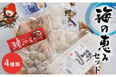 魚詰め合わせ 海の恵みセット | ベタの一夜干し 鱧の切り身 鱧のフライ 鱧のすり身入り 魚 さかな サカナ 一夜干し 切り身 きりみ 干物 ひもの 鱧 ハモ はも フライ ふらい 惣菜 すり身 すりみ 冷凍食品 中津鱧 大分鱧 九州鱧 大分県 中津市