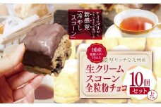 国産発酵バター香る濃厚リッチな九州産生クリームスコーン 全粒粉チョコ10個セット  | お菓子 菓子 おかし 洋菓子 焼き菓子 イギリス菓子 スコーン チョコ 生クリーム 生クリームスコーン 全粒粉 全粒粉チョコ 手作り おやつ デザート スイーツ ティータイム カフェスイーツ 大分県 中津市