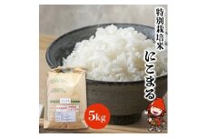 特別栽培米 にこまる 5kg | お米 米 精米 白米 おこめ こめ ご飯 ごはん 国産米 5キロ 大分県産 九州産 大分県 中津市