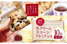 国産発酵バター仕込み濃厚リッチな九州産生クリームスコーン クルミチョコ10個セット | お菓子 菓子 おかし 洋菓子 焼き菓子 イギリス菓子 チョコスコーン クルミ おやつ デザート スイーツ 手作り ティータイム アフタヌーンティー 大分県 中津市 送料無料