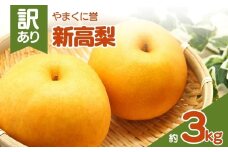 やまくに誉（新高梨） 訳あり 約 3kg | フルーツ 果物 くだもの 梨 なし ナシ 和梨 新高 3キロ 産地直送 九州産 国産 九州 大分県 中津市