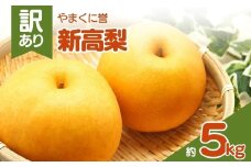 やまくに誉（新高梨） 訳あり 約 5kg | フルーツ 果物 くだもの 梨 なし ナシ 和梨 新高 5キロ 産地直送 九州産 国産 九州 大分県 中津市