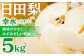 梨 なし 幸水 こうすい 果物 くだもの フルーツ ふるーつ 旬