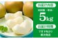 梨 なし 幸水 こうすい 果物 くだもの フルーツ ふるーつ 旬