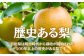 なし 梨 日田 和梨 果物 くだもの 果汁 フルーツ デザート 旬 あきづき