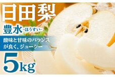 【期間限定】日田梨 豊水(ほうすい) 5kg 日田市 / 日田梨協同組合 梨  なし 豊水 ほうすい 和梨 果物 くだもの[ARBB002]