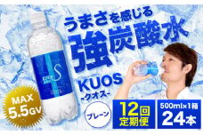 【全12回定期便】強炭酸水クオス プレーン 500ml×24本 炭酸水 たんさんすい 水 飲料水 みず 定期便 単品 日田市 / 株式会社OTOGINO [AREF089]