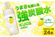 強炭酸水クオス レモンフレーバー 500ml×24本 炭酸水 たんさんすい 炭酸 たんさん 水 飲料水 みず 単品 レモン 日田市 / 株式会社OTOGINO [AREF046]