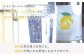 炭酸水 たんさんすい 炭酸 たんさん 水 飲料水 みず 定期便 単品 レモン