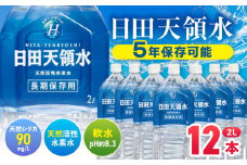 日田天領水 長期保存用2L×6本×2箱 日田市 / グリーングループ株式会社　飲料水 水 みず[AREG032]