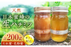 超希少【天然】日本蜜蜂の生はちみつ たれ蜜・花粉蜜 計200g ハニーディッパー付き　【食べチョクアワード2023 3位入賞】　 日田市/総合環境計画研究所 the honey shop　はちみつ 蜂蜜 ハチミツ[ARBN001]