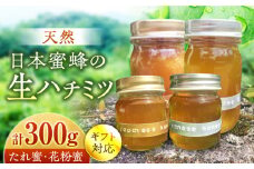 超希少【天然】日本蜜蜂の生はちみつ　たれ蜜・花粉蜜 計300g ハニーディッパー付き　【食べチョクアワード2023 3位入賞】　 日田市/総合環境計画研究所 the honey shop　はちみつ 蜂蜜 ハチミツ[ARBN002]