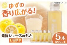 発酵ジュースのもと〈日田ゆず〉 120ml×5本 日田市 / 株式会社インパクト　ジュース 健康 飲料[ARDA002]